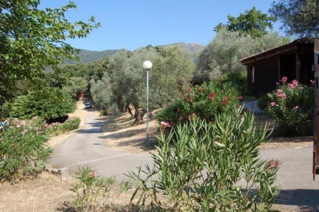 Gites Chalets De Grosseto-Prugna Dış mekan fotoğraf